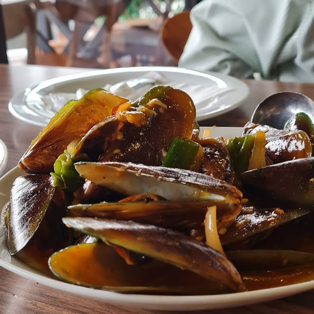 Kerang Hijau Saos Padang