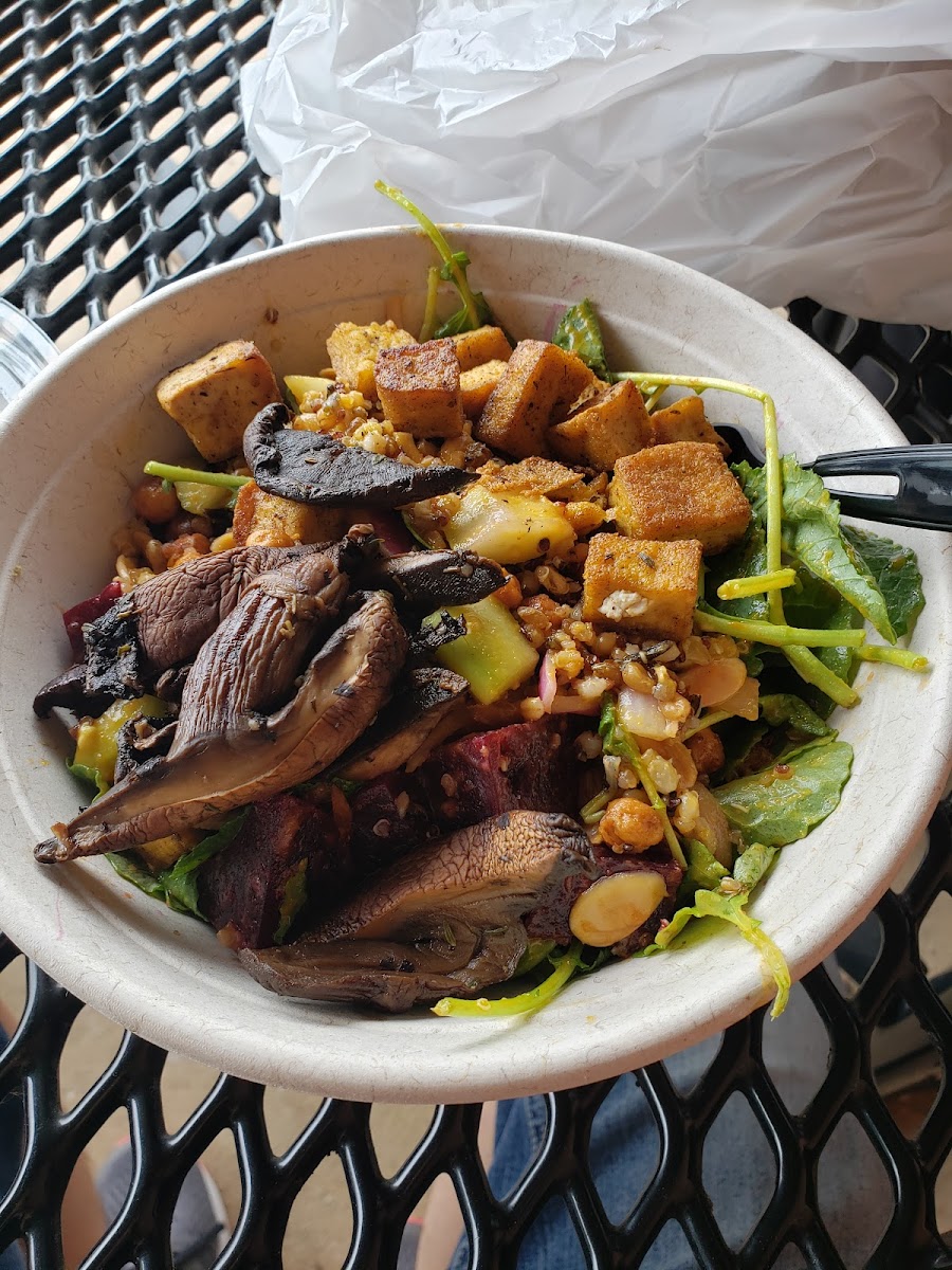 Savanna Salad Bowls & Sandwiches - Photo 5