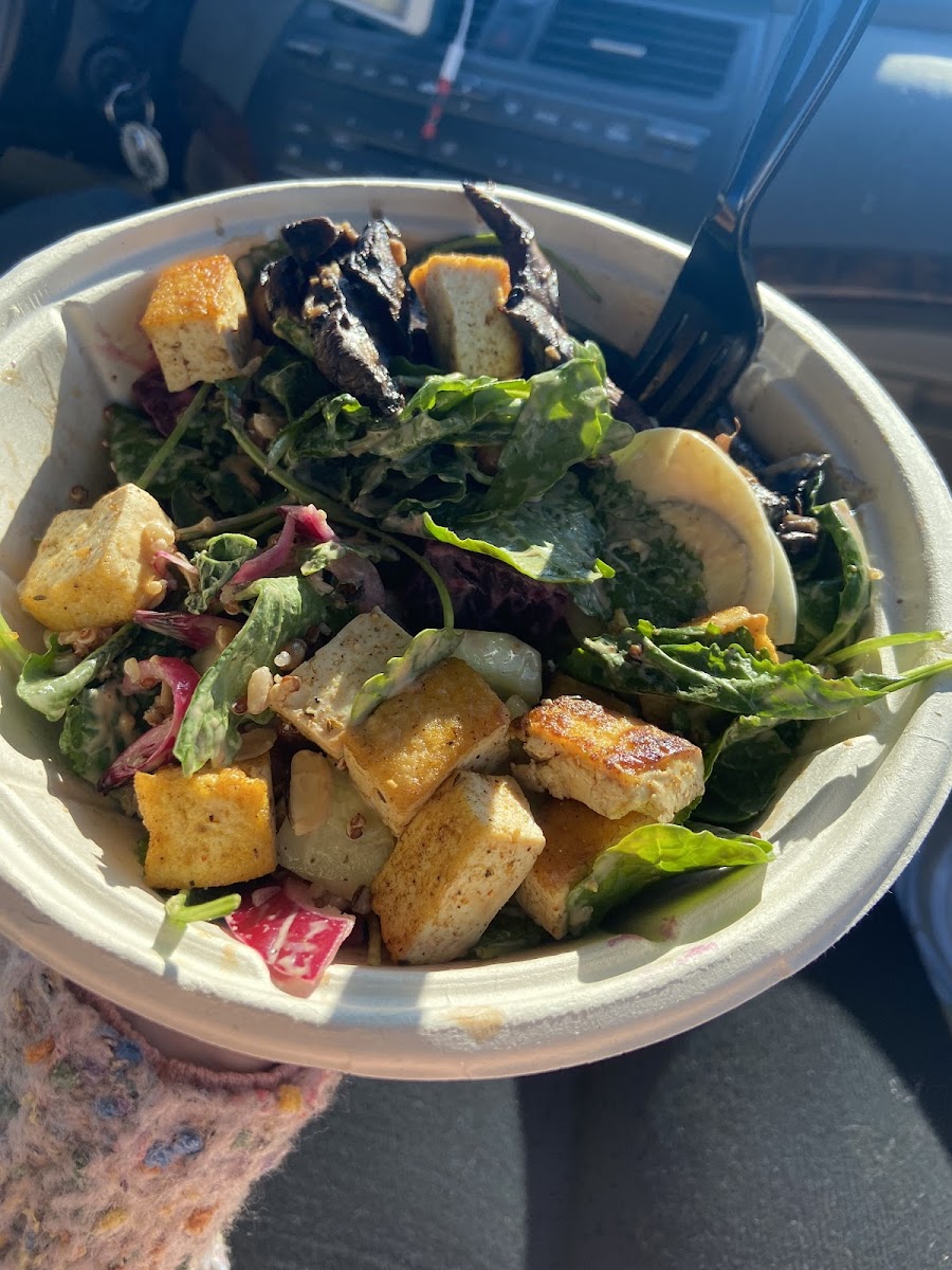 Savanna Salad Bowls & Sandwiches - Photo 8