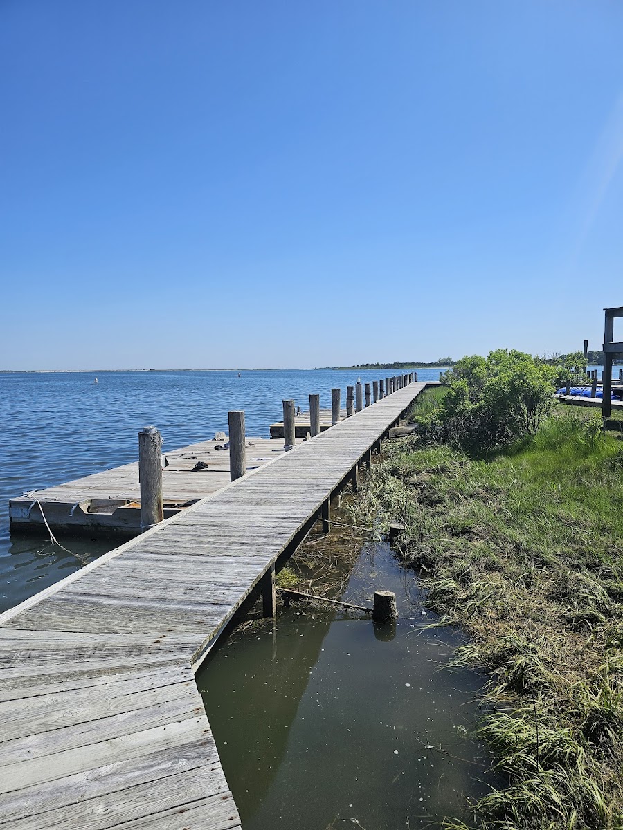 ITA Kitchen Waterfront East Moriches - Photo 4