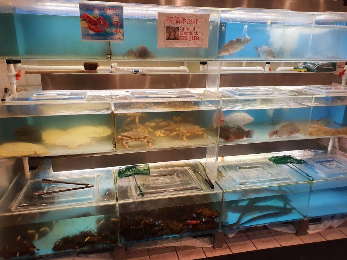 Jumbo Seafood 珍寶軒 - Photo 4