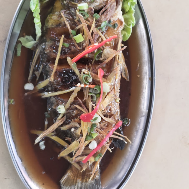 Ikan Halia