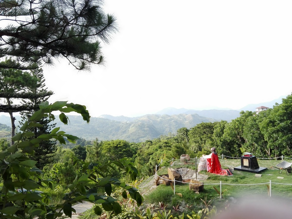 Annyeong Cafe 안영 - Photo 2