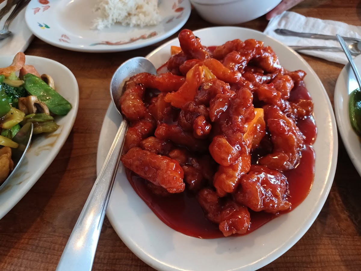 Golden Fountain - Photo 6