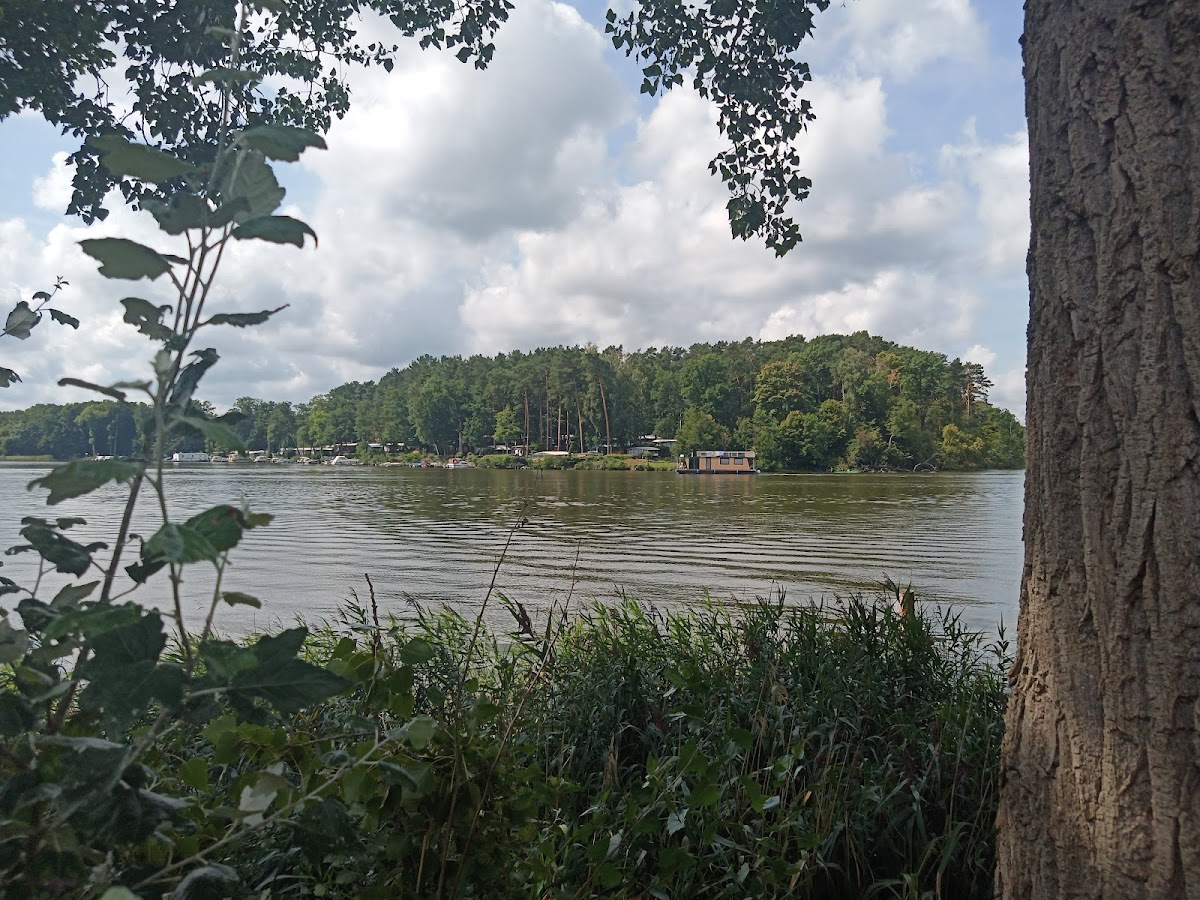Speiselokal Seeblick - Photo 2