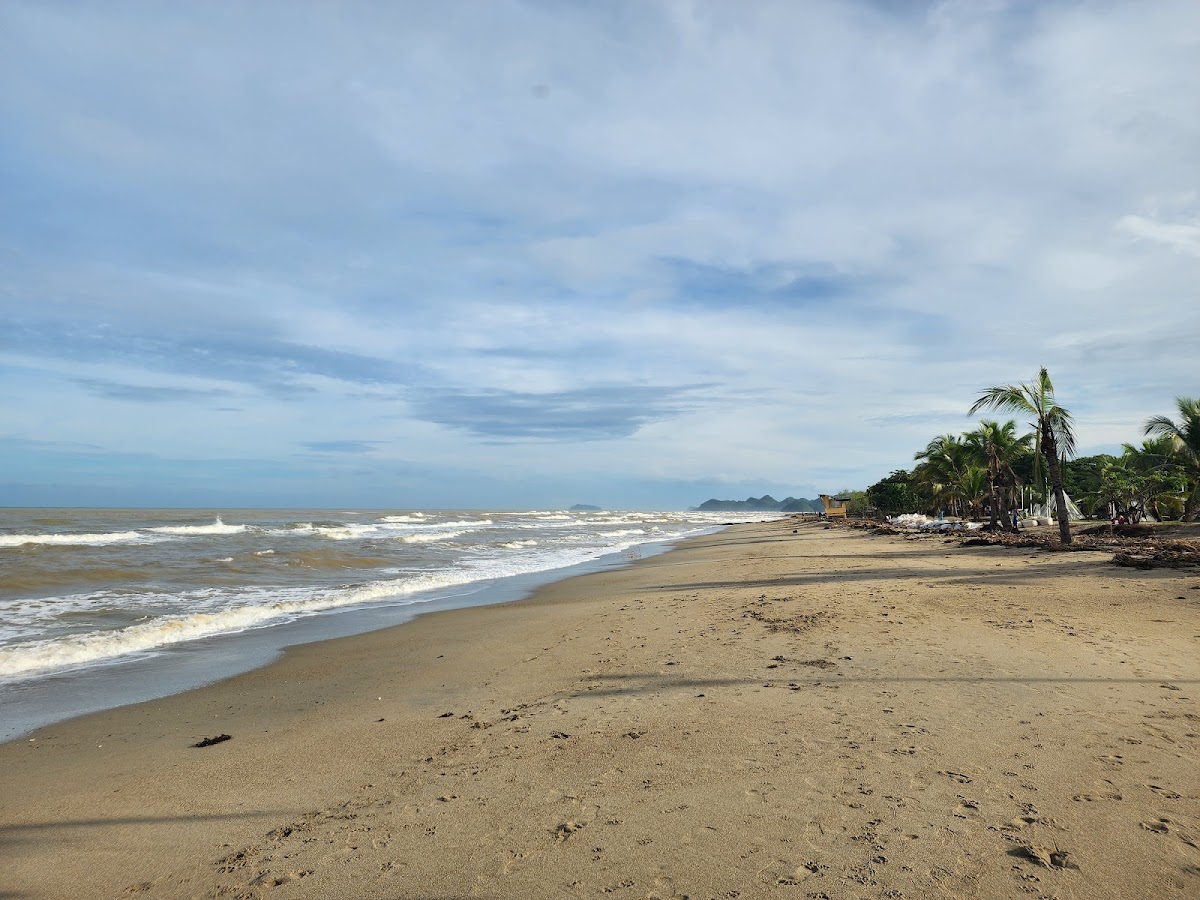 Sipalay Food Park - Photo 3