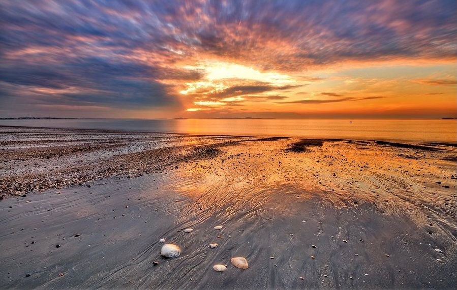 Hawthorne By-The-Sea - Photo 6