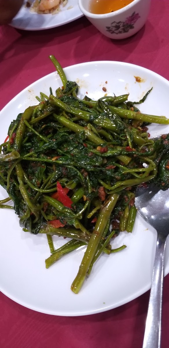 Harbour City Chinese Cuisine - Photo 8