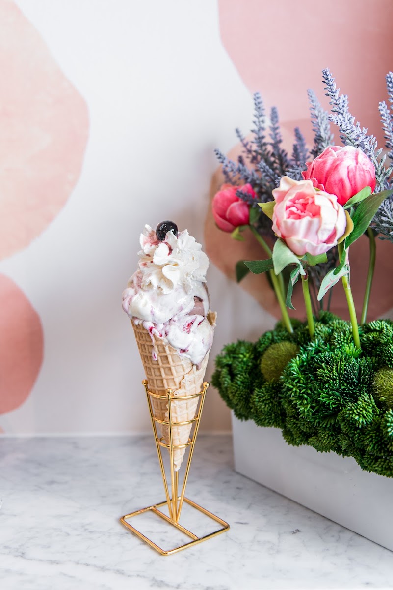 Noci Gelato - Photo 2