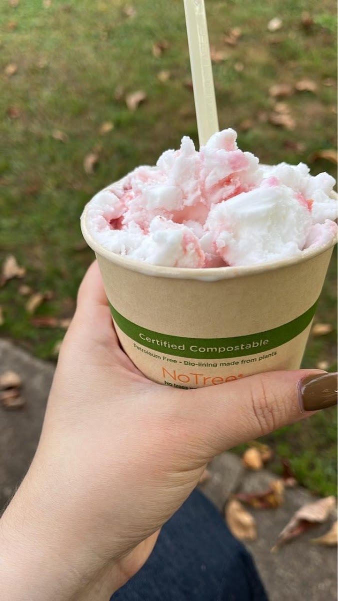 Noci Gelato - Photo 5