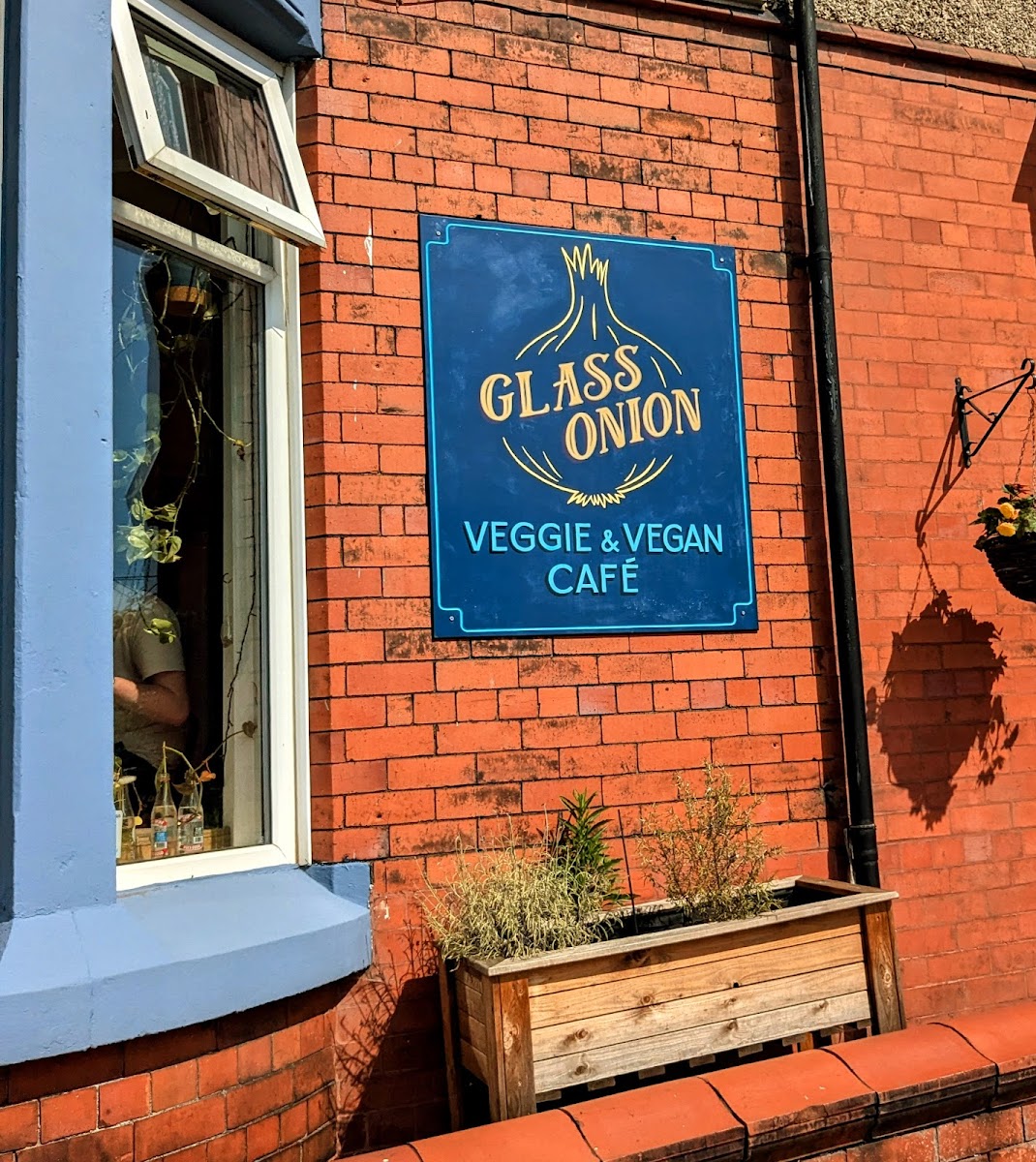 Glass Onion - Photo 4