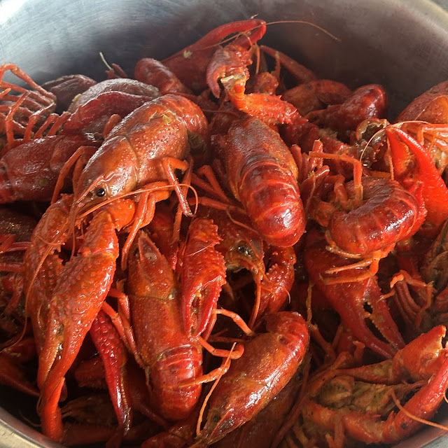 Crawfish