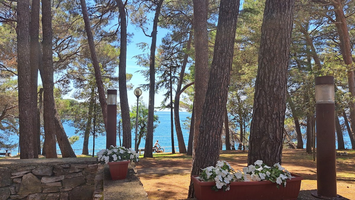 Galeone Restaurant&Bar - Photo 3