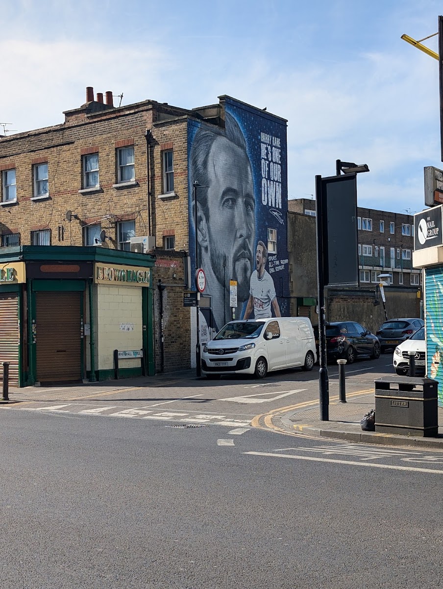 Brown Eagle Tottenham - Photo 1