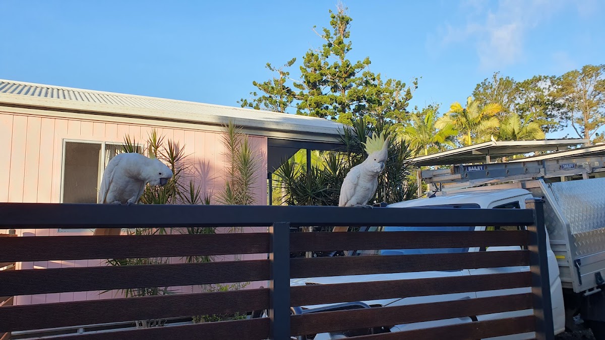 Lake Tinaroo Cafe - Photo 1
