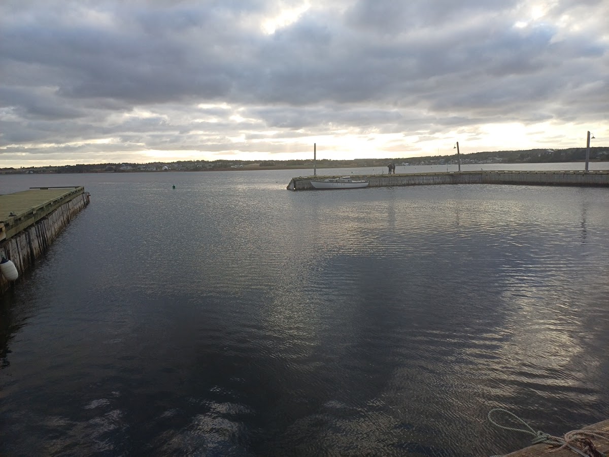 On The Dock - Photo 5