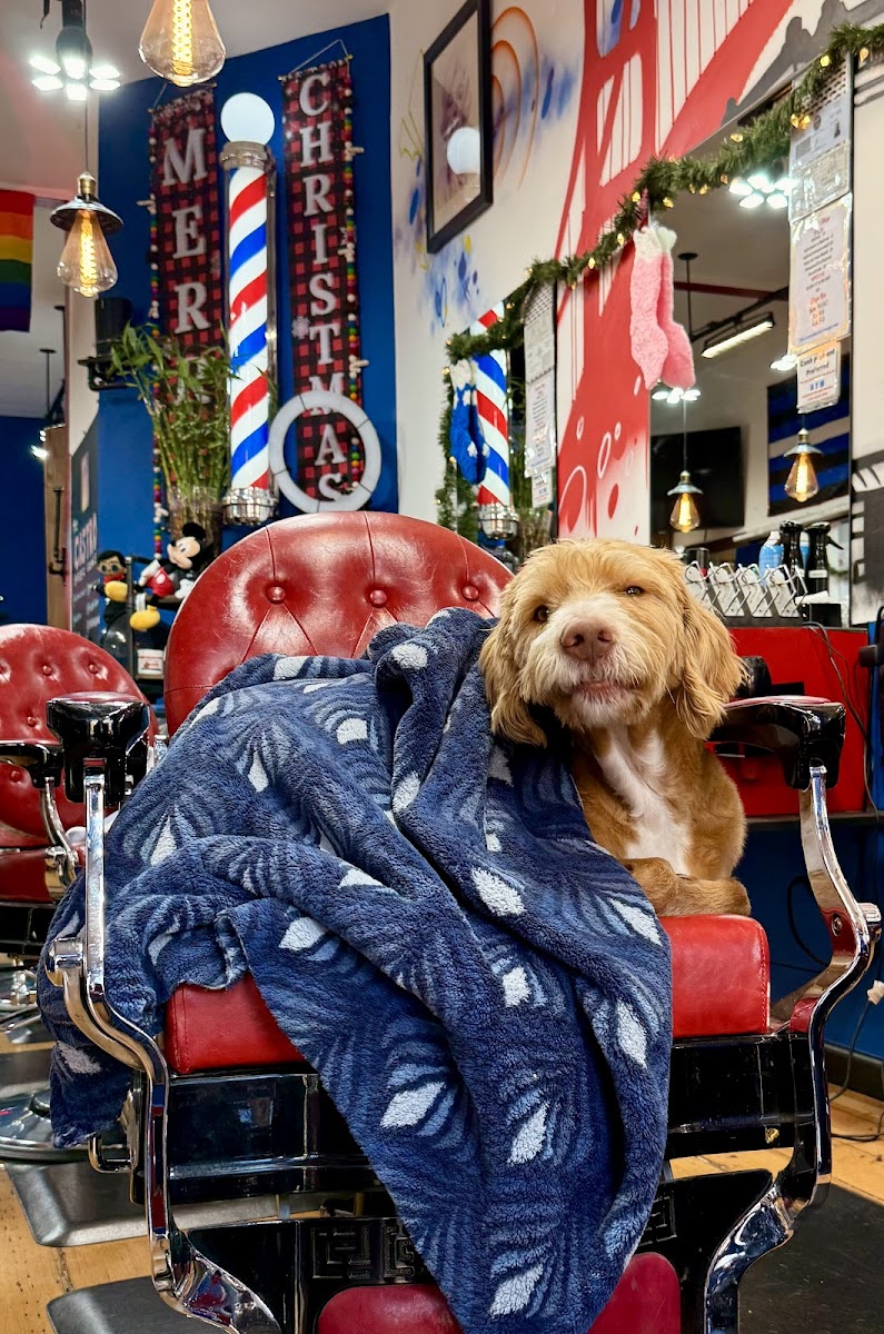 The Castro Barber Lounge - Photo 9