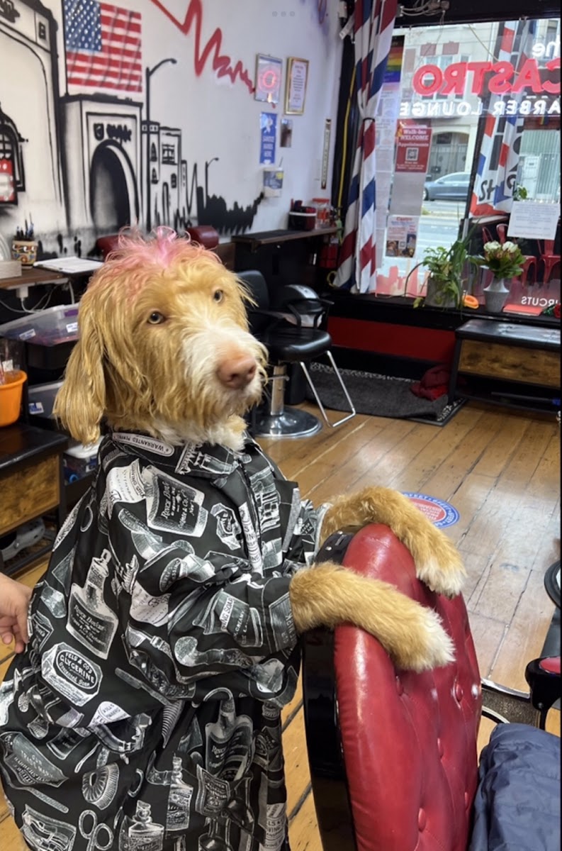 The Castro Barber Lounge - Photo 7