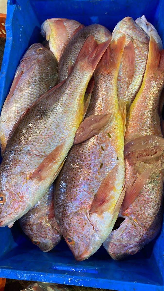 Pescadería El Compadre Poncho