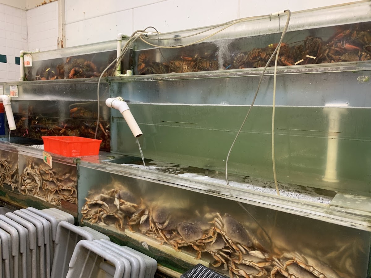 Asian Live Seafood Market - Photo 3