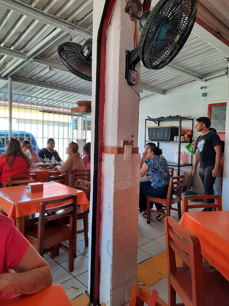 El Borrego Chino - Photo 2