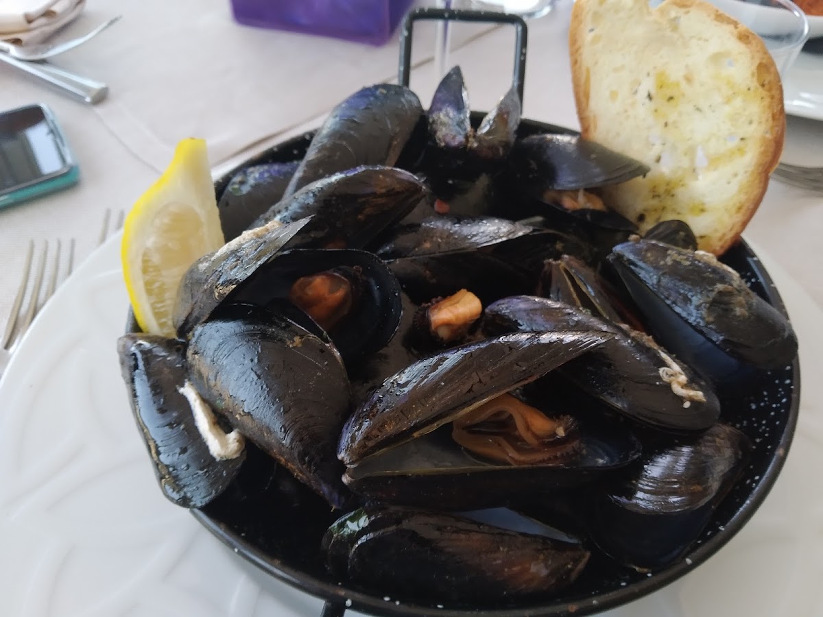 Ristorante Canessa - Photo 5