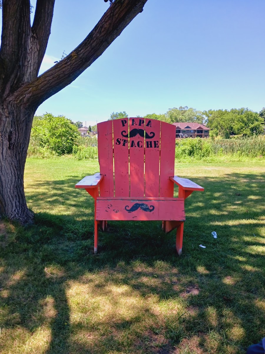 Papa Stache - Photo 8