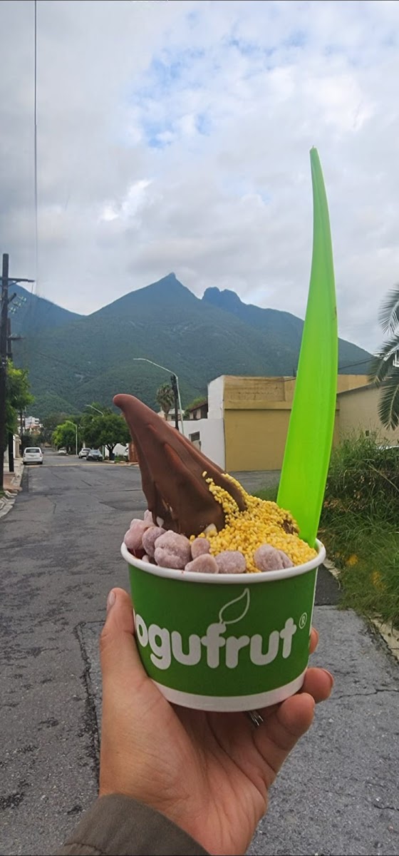 Yogufrut - Photo 6