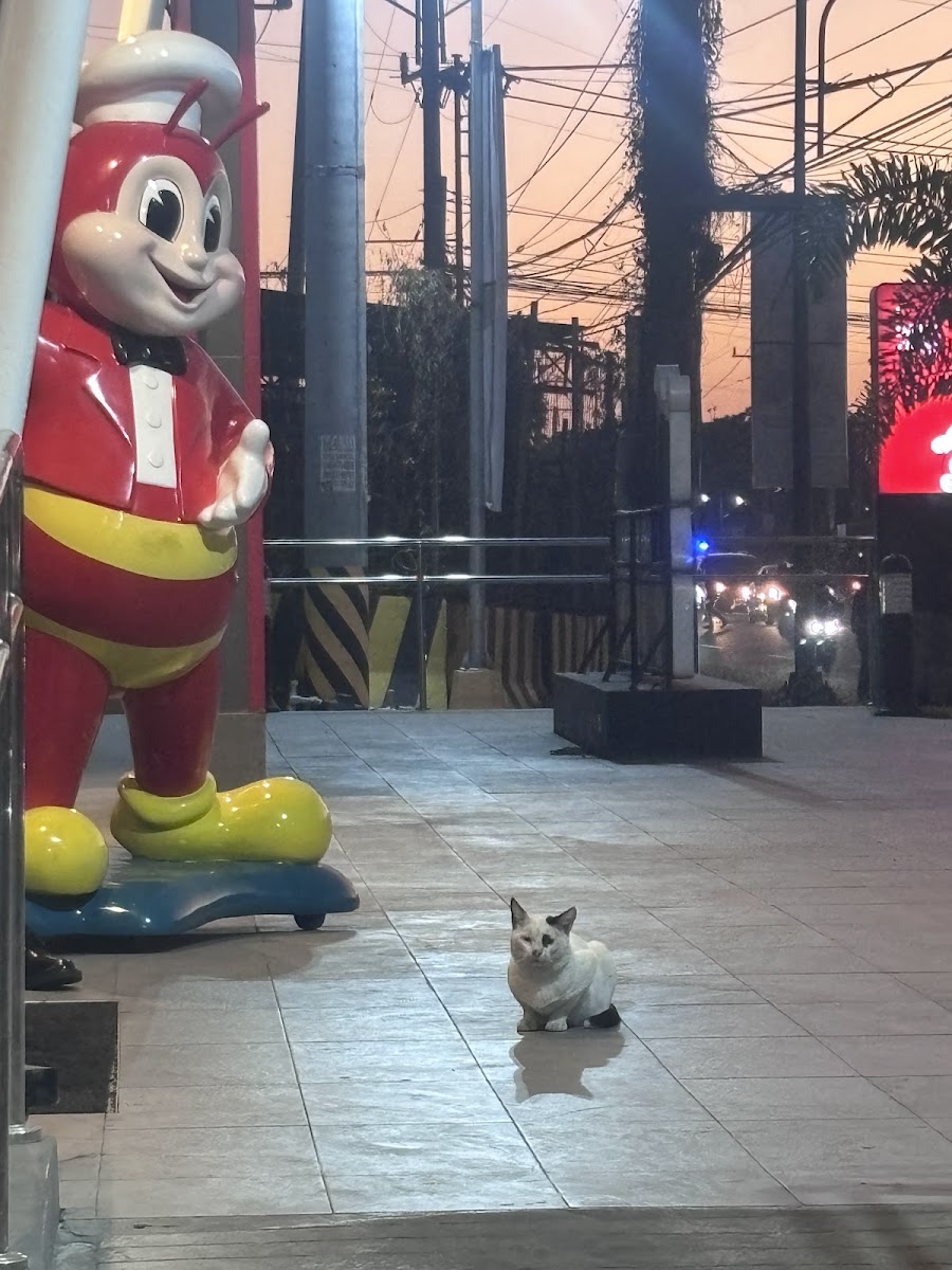 Jollibee Antero Soriano Noveleta - Photo 4