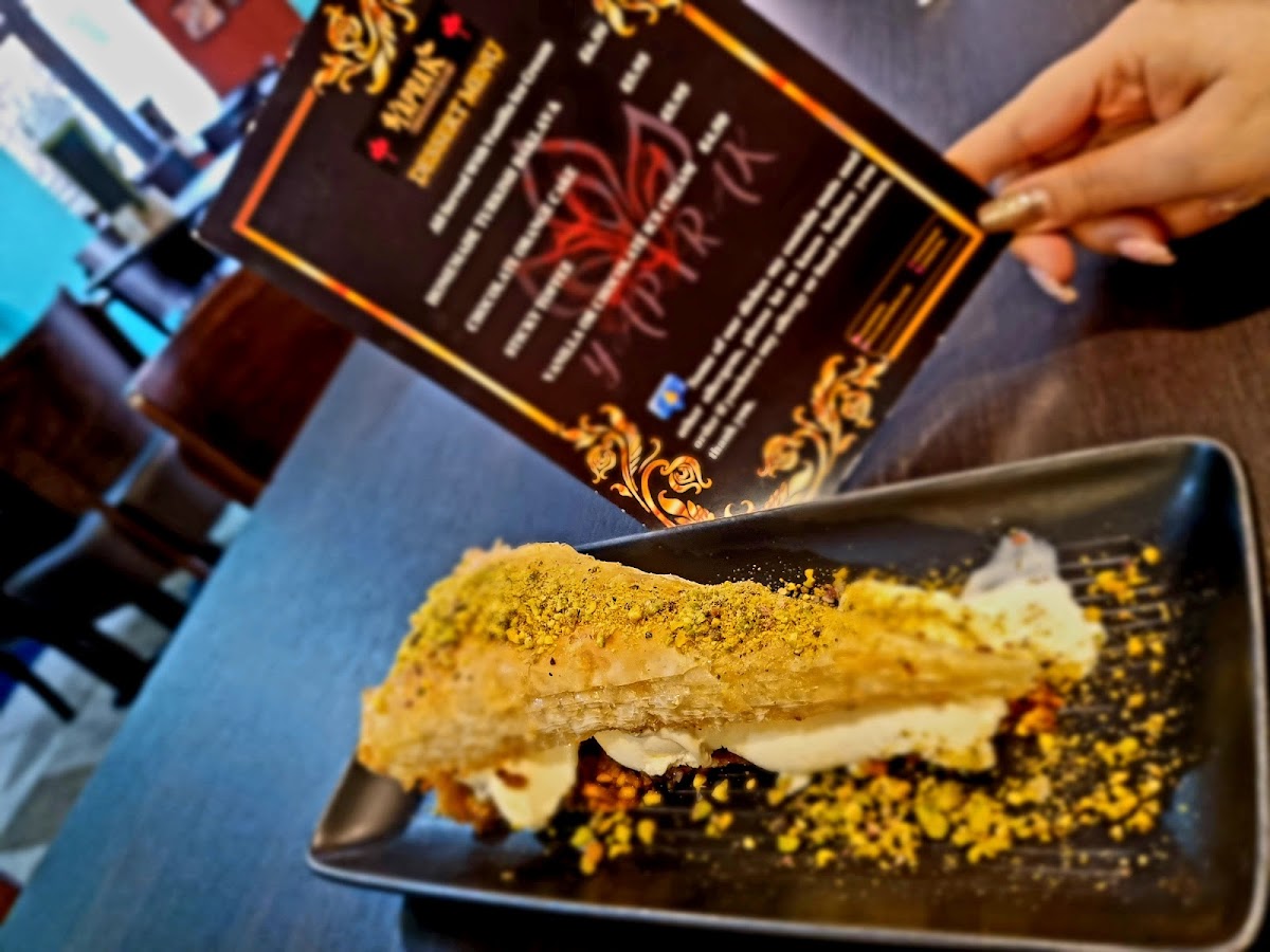Yaprak Grill Tyldesley - Photo 7