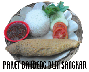 Ayam Kremes Pak Yudi - Photo 9