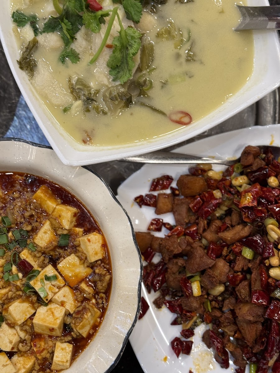 New Tasty Restaurant - Photo 3