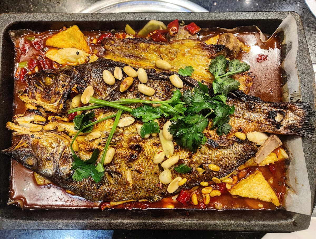 New Tasty Restaurant - Photo 4