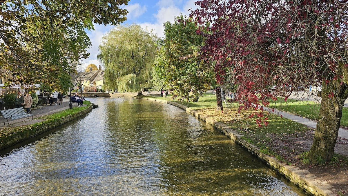 The Chestnut Tree - Photo 2