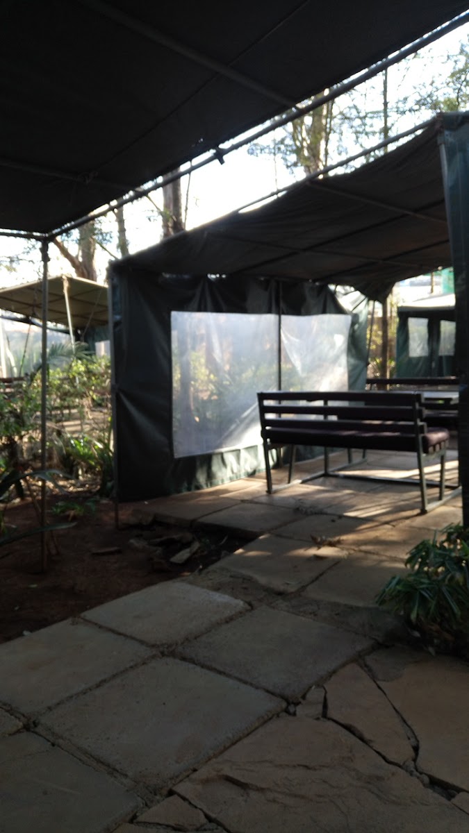 The Grassy Knoll Bar & Restaurant - Photo 3