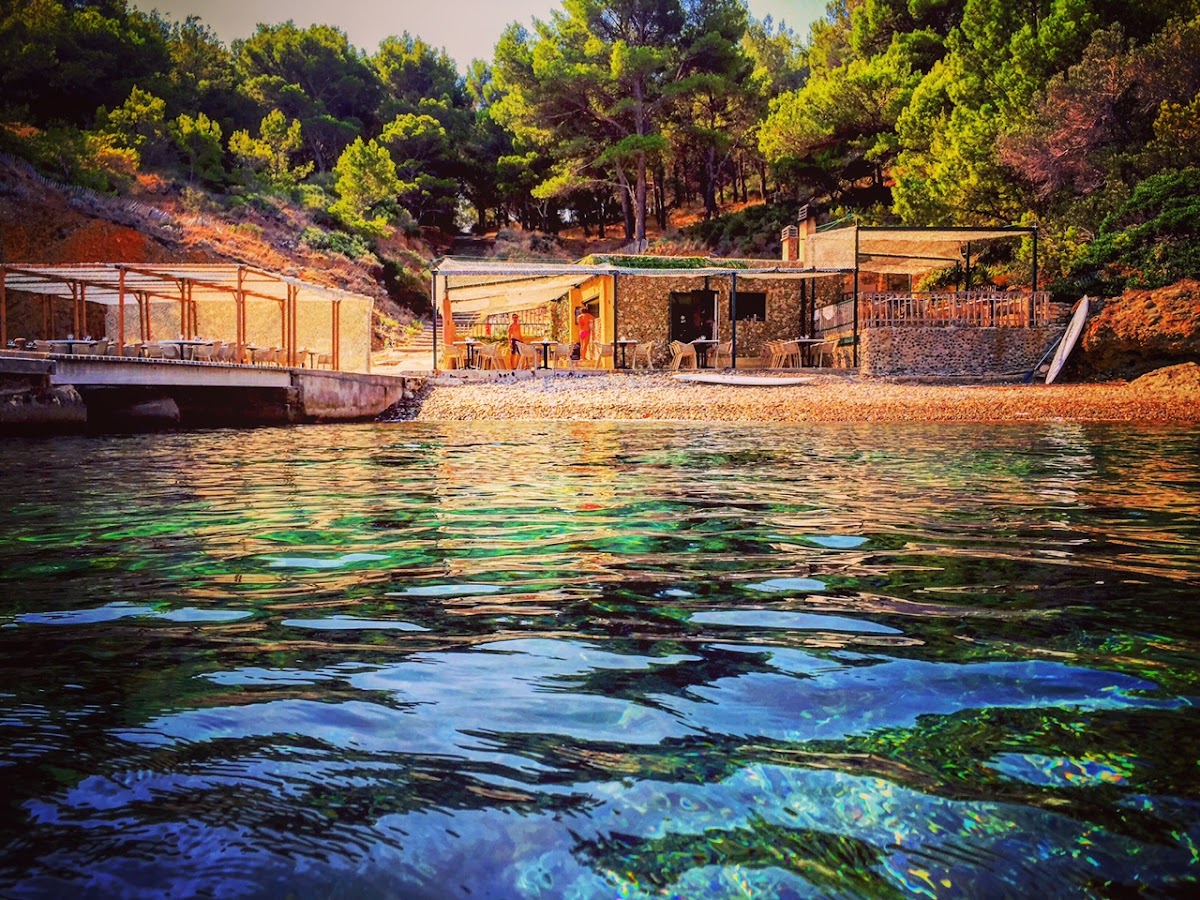 Restaurant L'Île Verte - Photo 3