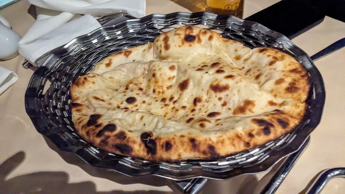 The Coriander - Photo 3