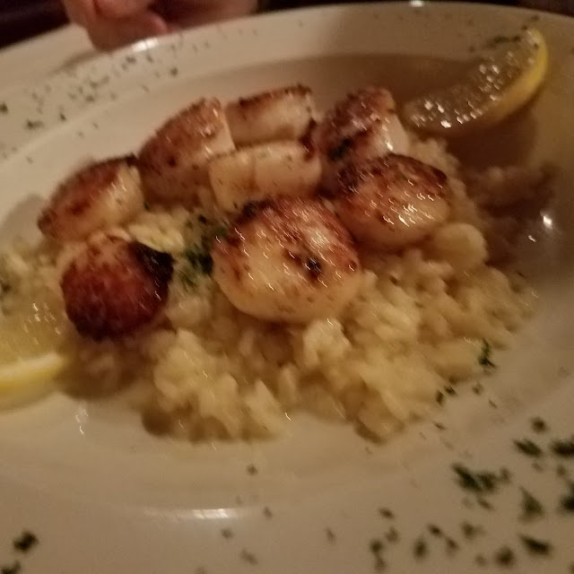 Scallops