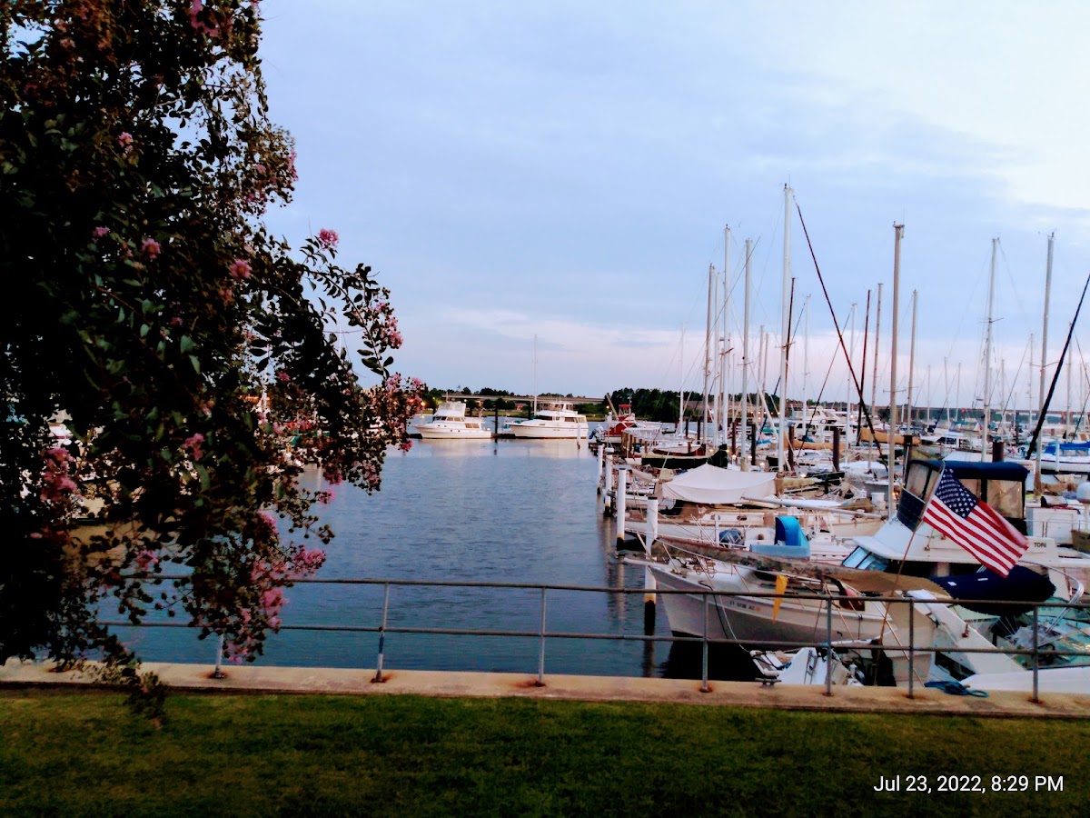 Christoph's on the Water - Photo 2