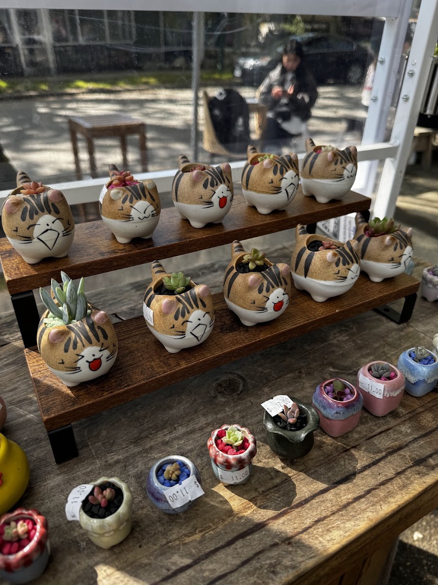 Kits Beach Coffee - Photo 3