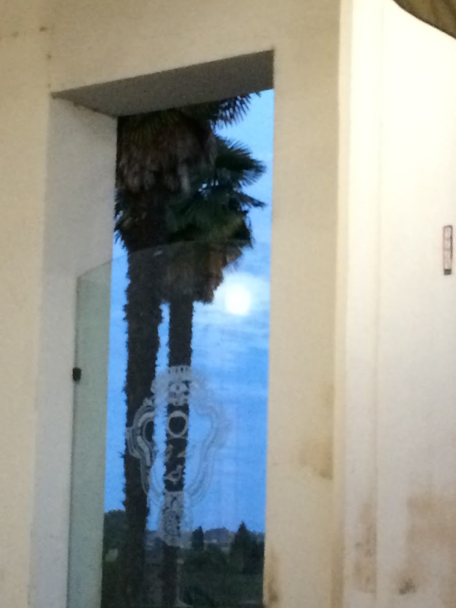 Cafè del Conte Amico - Photo 2