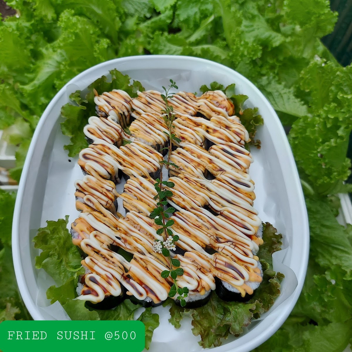 Greenhouse Cafe - Photo 9