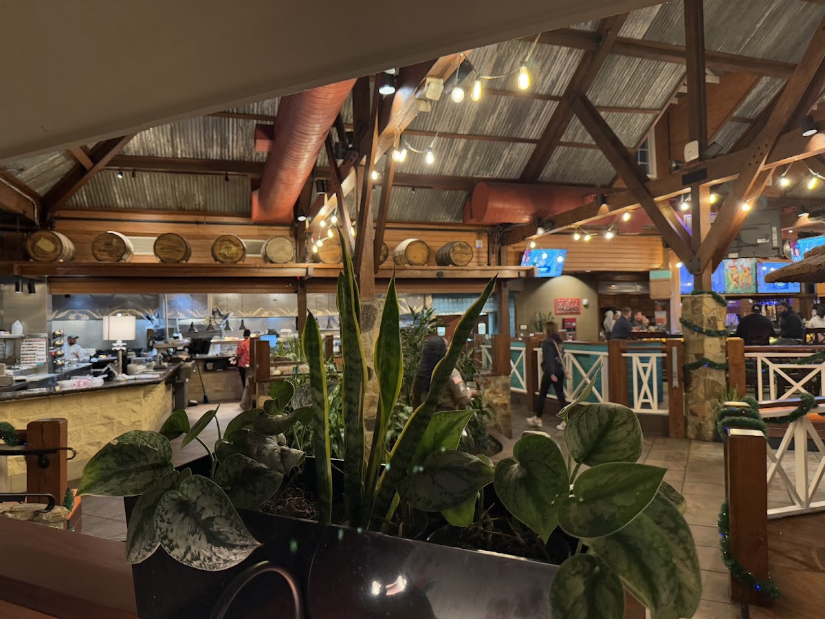 Bahama Breeze - Photo 5