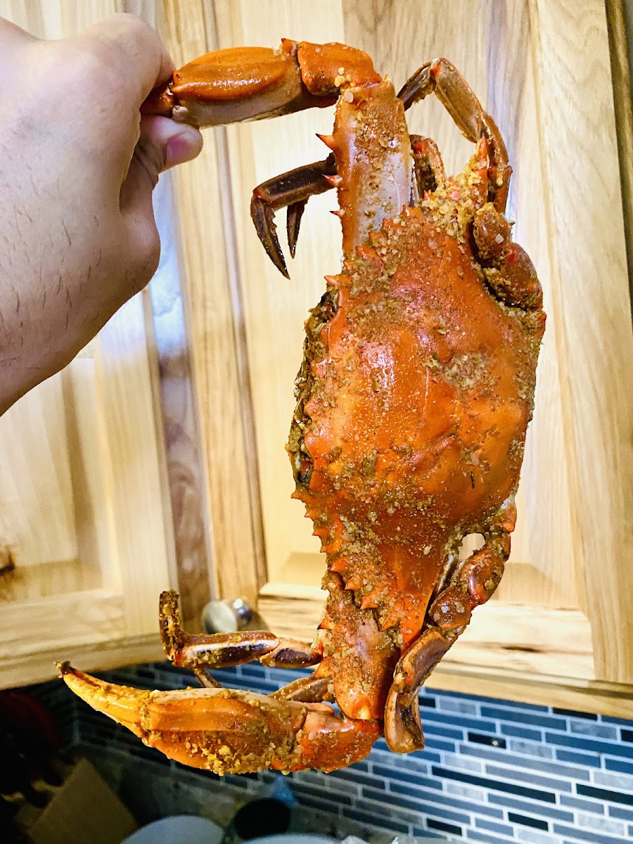 Cranky Crab - Photo 4