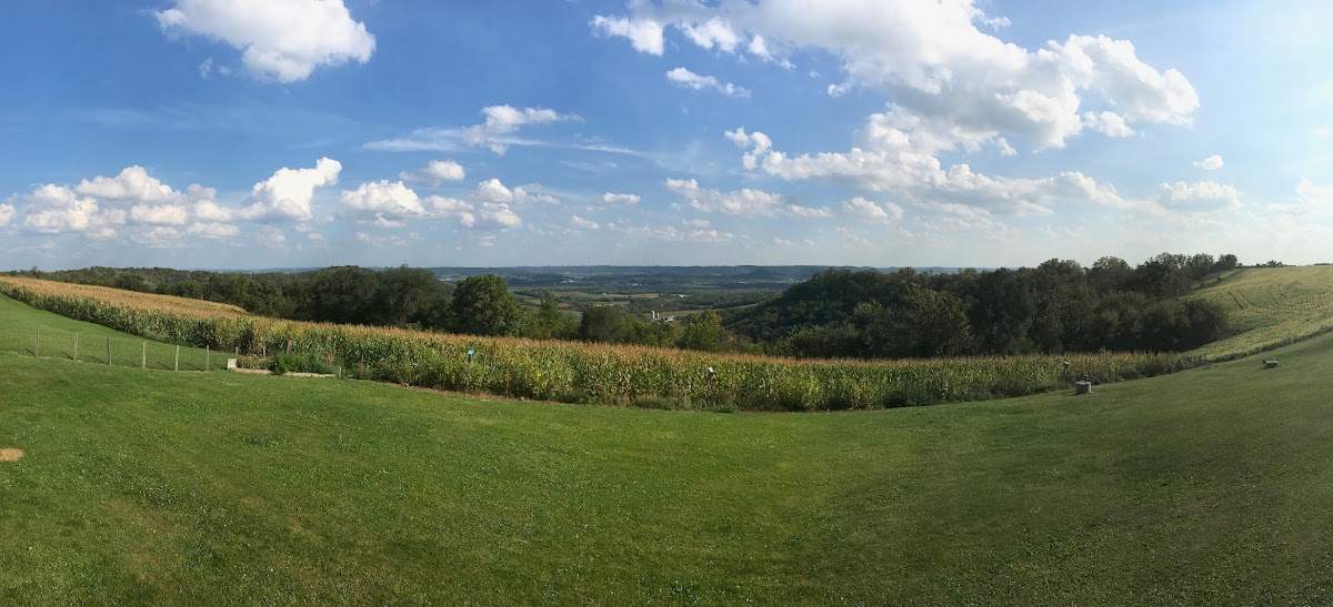 The Lookout - Photo 2