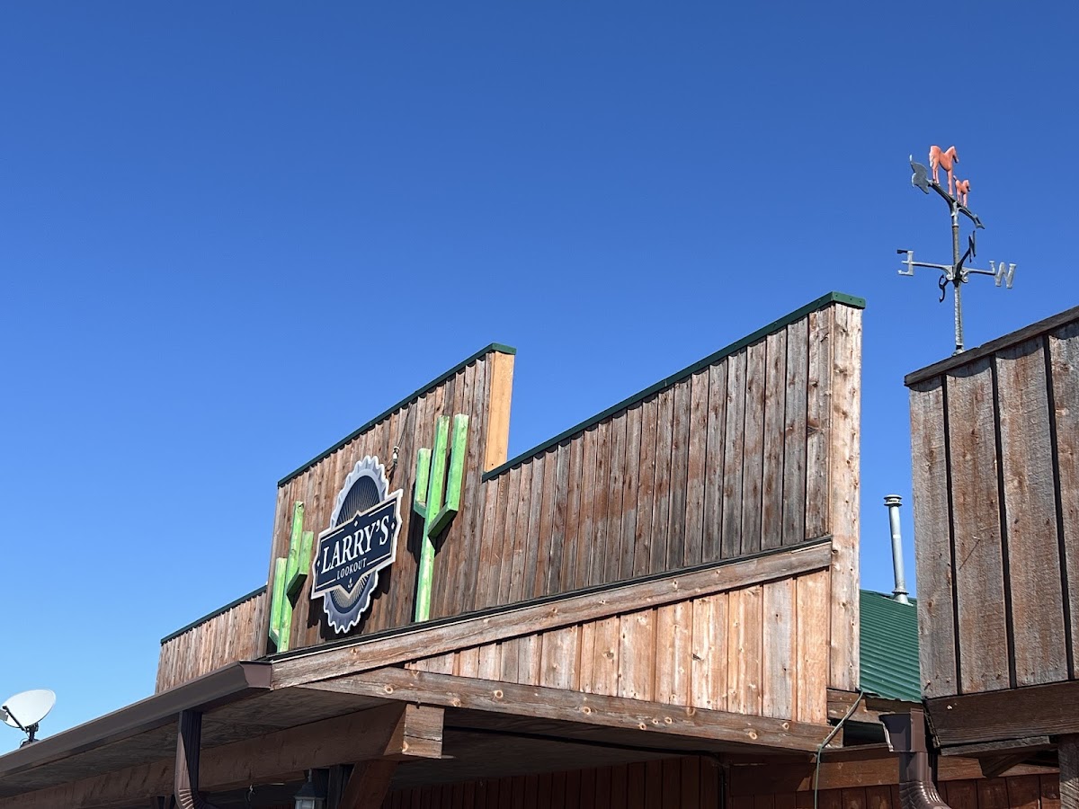 The Lookout - Photo 3