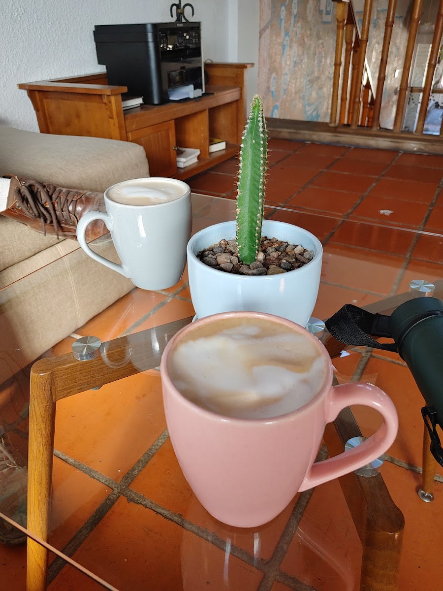 Buena onda Bakery and Coffee - Photo 9