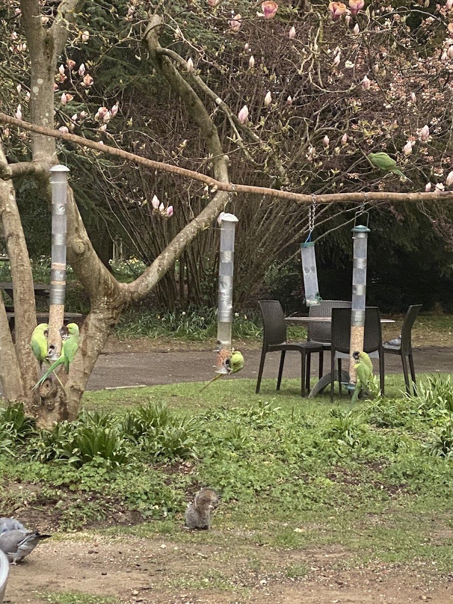Oaks Park Cafe - Photo 9