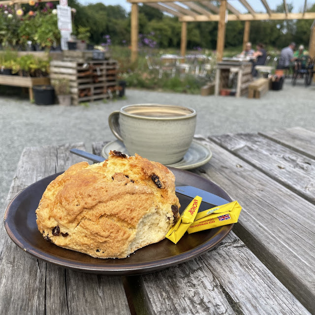 Scone