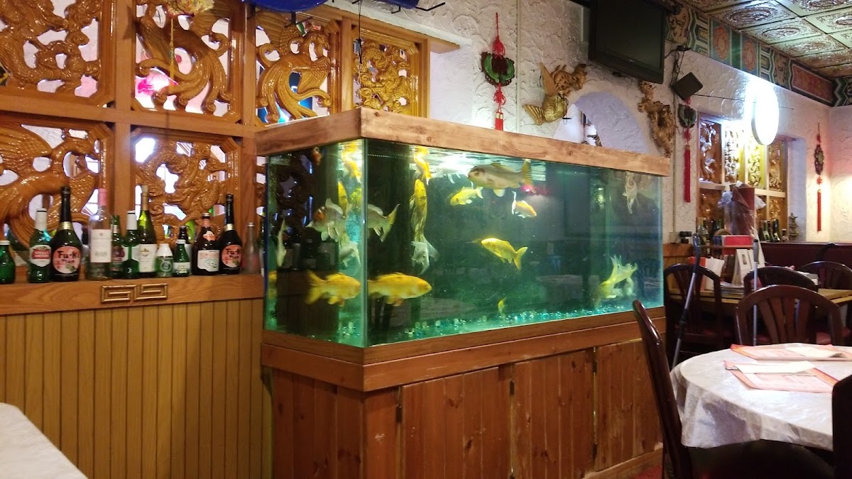 Szechwan Chinese Restaurant - Photo 5